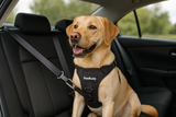 WOOFSHY™ -  CAR BUNDLE