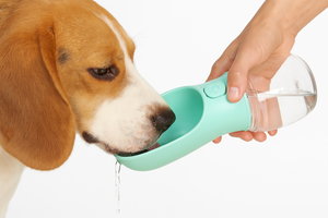 Woofshy - Bottle™